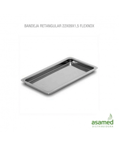 BANDEJA RETANGULAR 22X09X1,5CM FLEXNOX