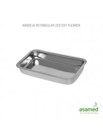 BANDEJA RETANGULAR 30X20X4,0CM FLEXINOX